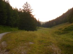 2013-07-20_Regina-F-Rau_Kochel-Rabenkopf (563).JPG